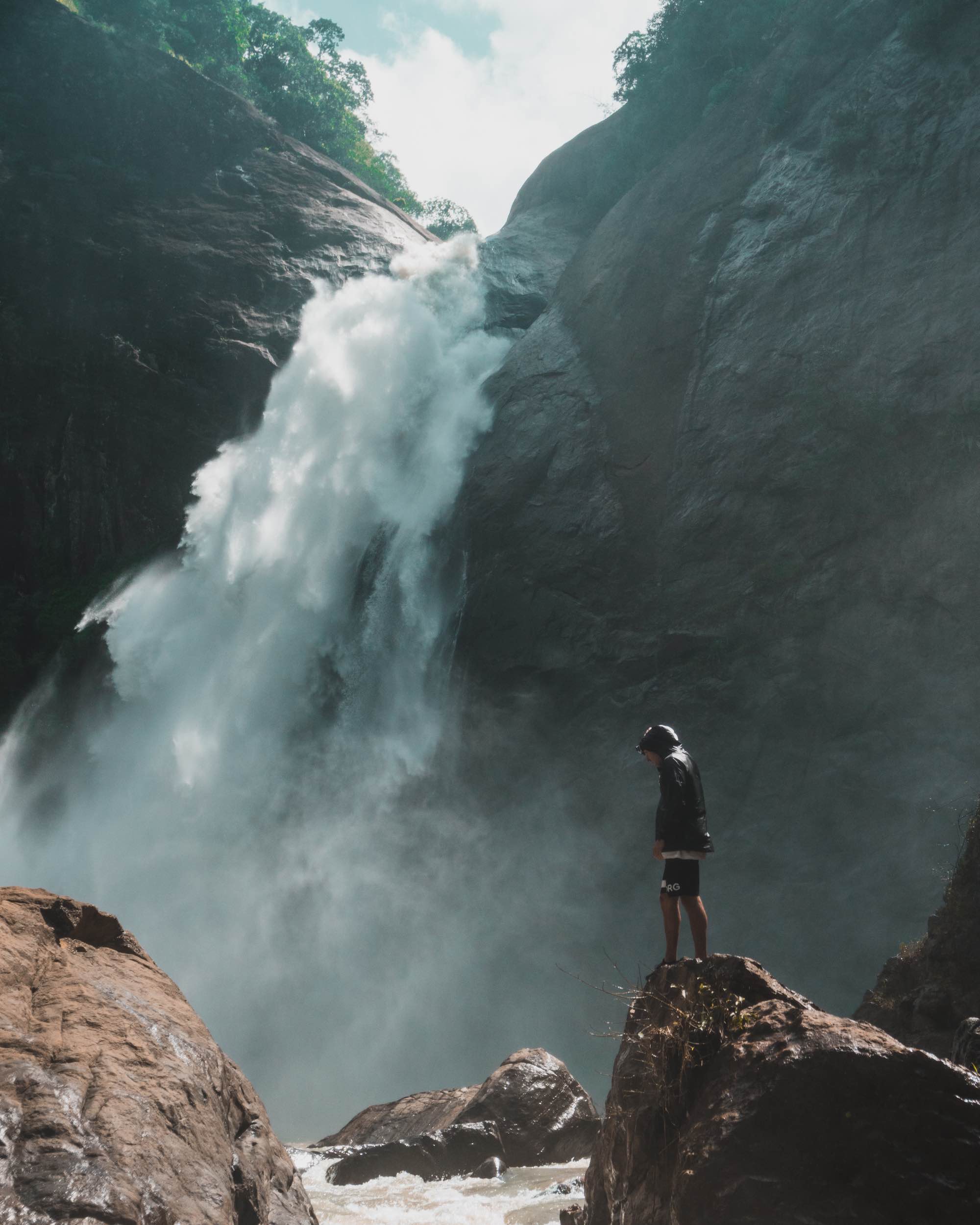 Traveler